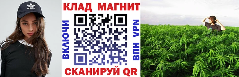 Купить закладку Жиздра APVP  Амфетамин  Героин  ГАШ  COCAIN 