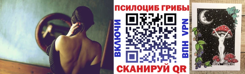 Псилоцибиновые грибы Cubensis  купить закладку  Жиздра 