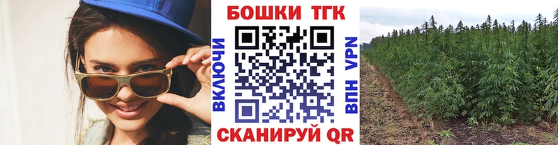 kraken tor  Жиздра  Канабис конопля 